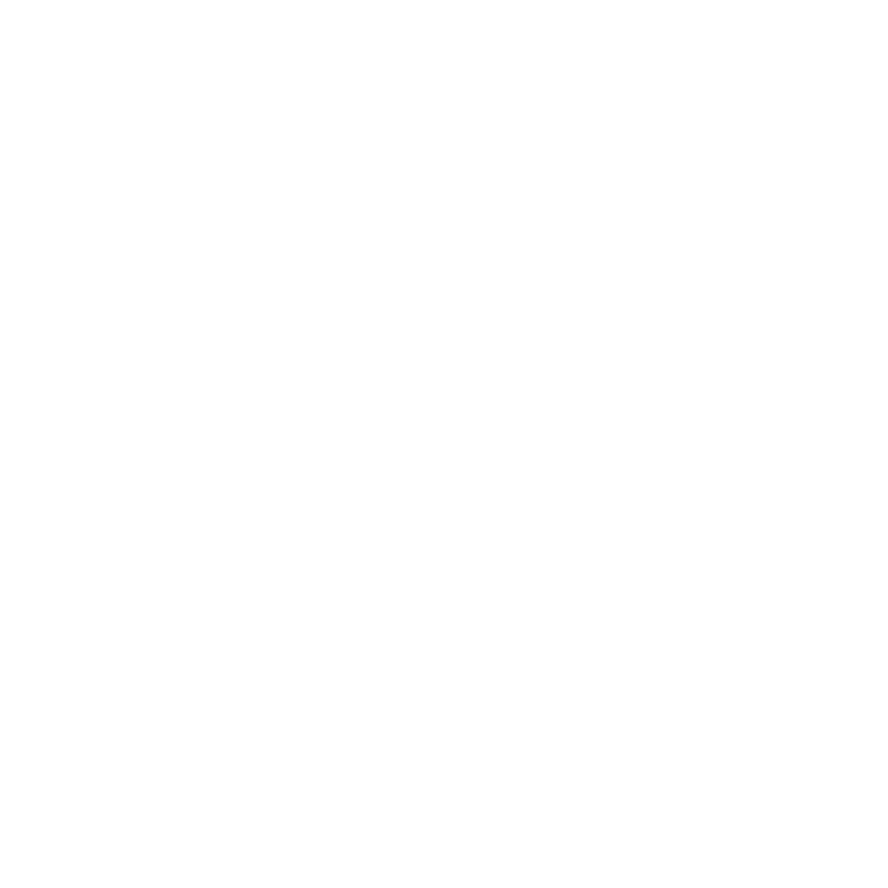 VSV SPA