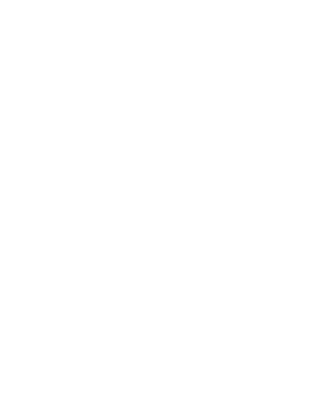 VSV SPA